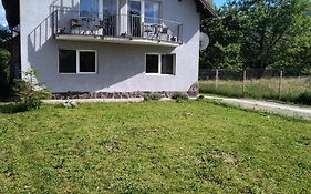 Casa Damona Bran